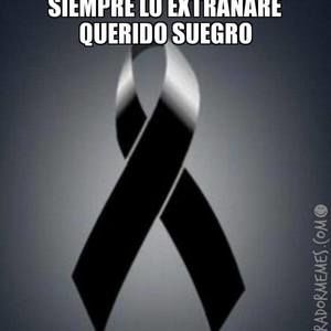 Meet your Posher, Iris